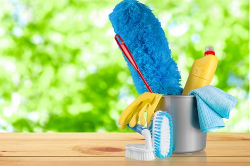 Local cleaner working in a Brixton residential flat