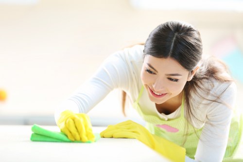 Deep cleaning a rug in a Brixton living room setting