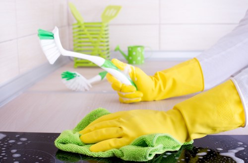Professional sofa cleaning equipment in a Brixton flat