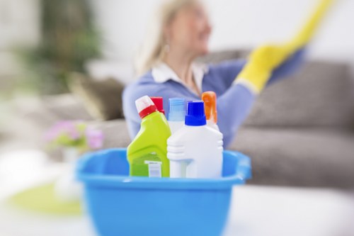 Visual reference for screen-reader friendly Brixton cleaning content