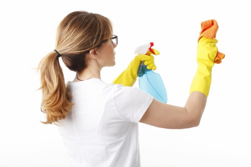 Final terms and conditions document for a deep cleaning service