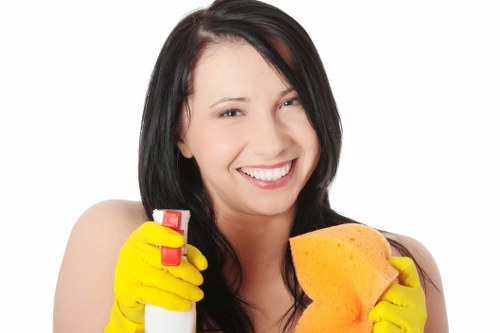 Residential window cleaning for a Brixton terrace or flat
