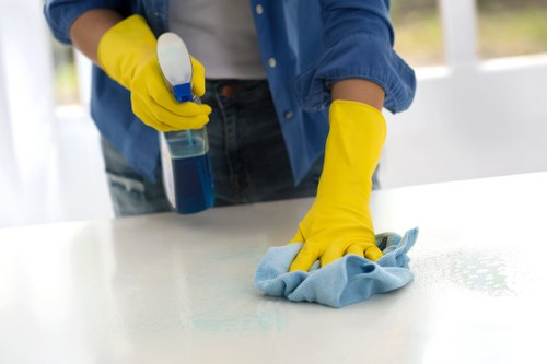 Risk assessment and safety measures for a deep cleaning job
