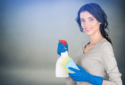 Detailed cleaning of rooms and surfaces
