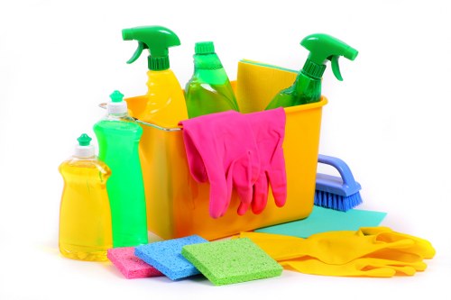 Deep cleaning carpets in a Brixton apartment